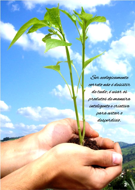 Ecologicamente correto